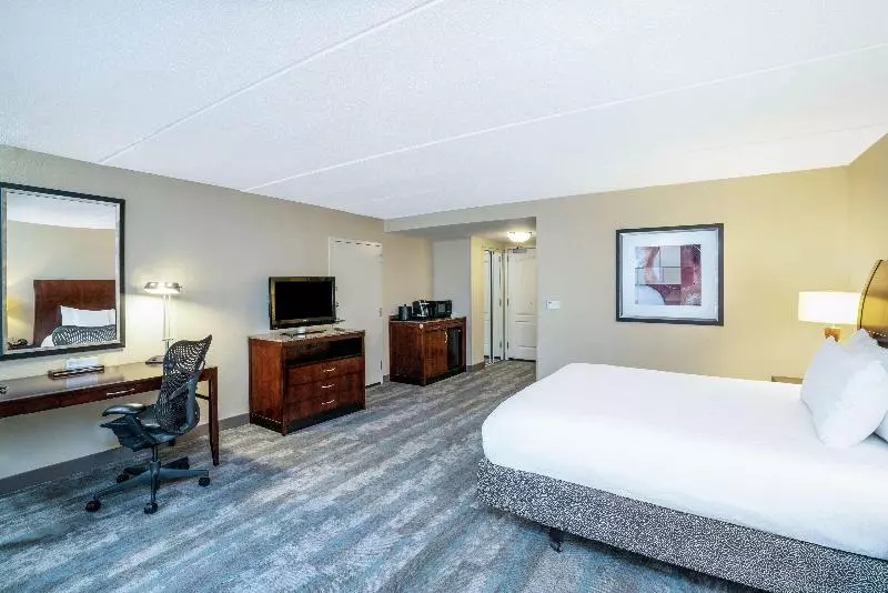 اتاق استاندارد با تخت بزرگ, Hilton Garden Inn Richmond Airport