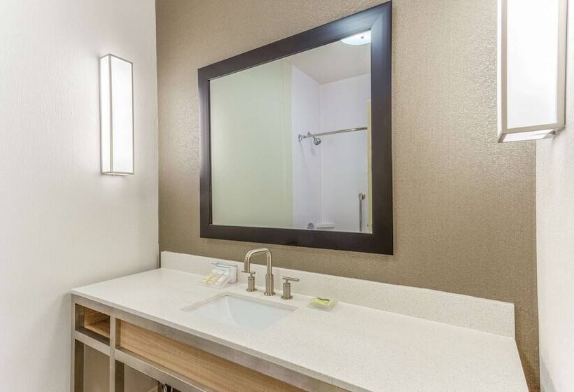 2ダブルベッドのスタンダードルーム, Hilton Garden Inn St Charles