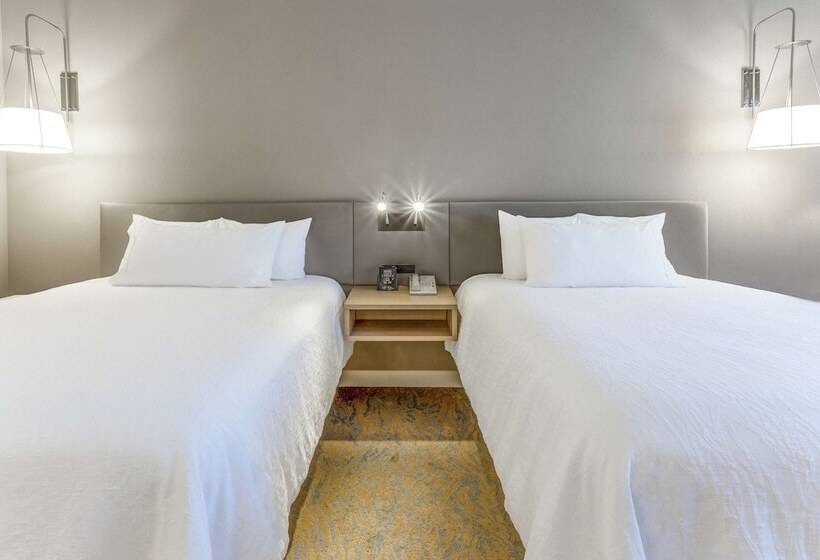 2ダブルベッドのスタンダードルーム, Hilton Garden Inn St Charles