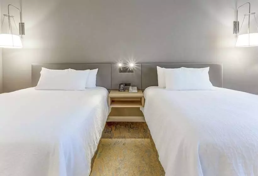 ２ダブルベッドのスタンダードルーム, Hilton Garden Inn St Charles