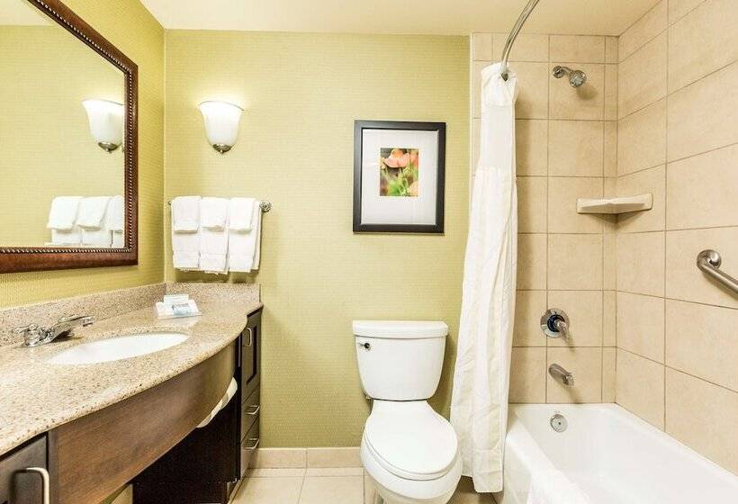 غرفة قياسية, Hilton Garden Inn St. George