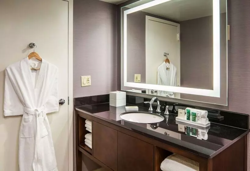 ジュニアスイート, Hilton Washington Dc/rockville Hotel & Executive Meeting Ctr