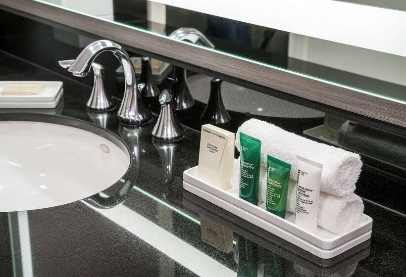 جناح جونيور, Hilton Washington Dc/rockville Hotel & Executive Meeting Ctr