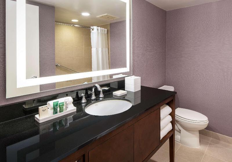 غرفة قياسية سرير كينج, Hilton Washington Dc/rockville Hotel & Executive Meeting Ctr