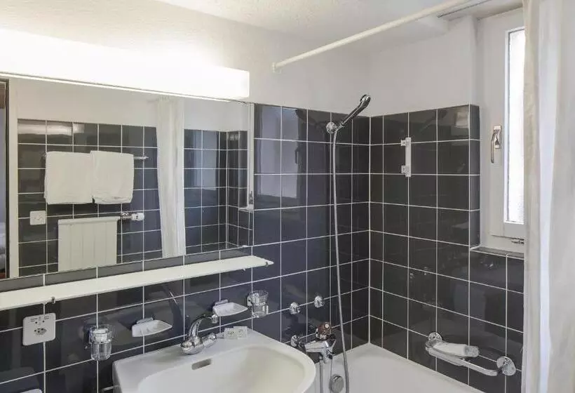 Standard-huone Järvinäkymä, Provisorium13