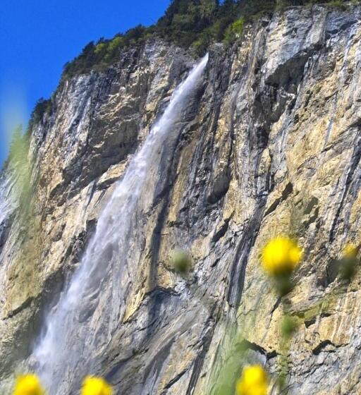 스탠다드 전망 룸, Staubbach