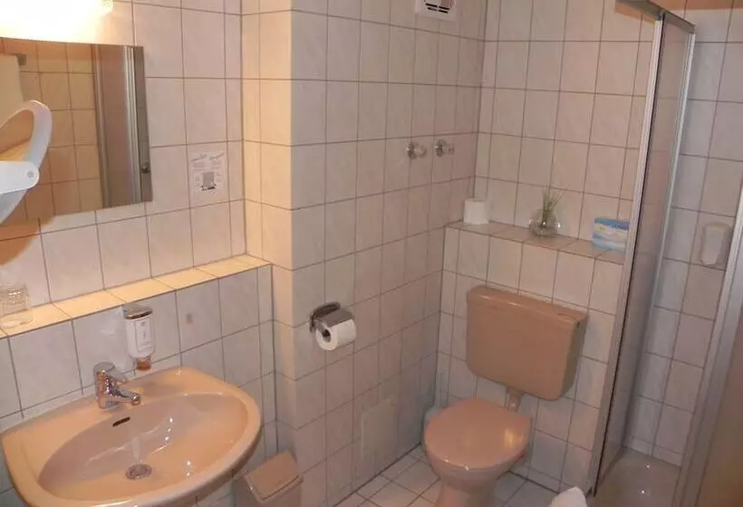 Standard-huone, Parkhotel Cham