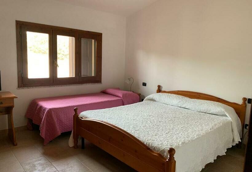 家庭间, Terra Noas