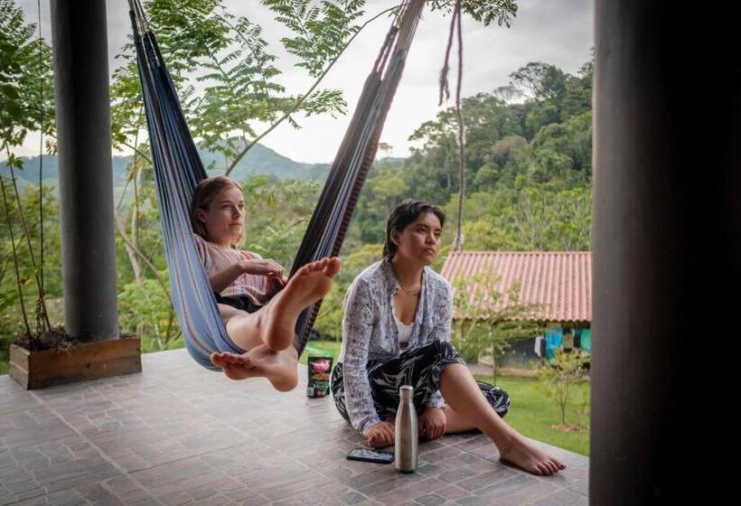 Geteiltes Mehrbettzimmer, La Perla Negra   Black Pearl Eco Hostel