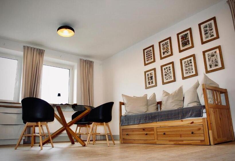 شقة غرفة واحدة, Penziónzemianskydvor