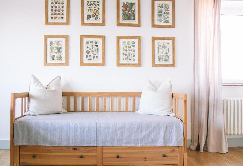 شقة غرفة واحدة, Penziónzemianskydvor