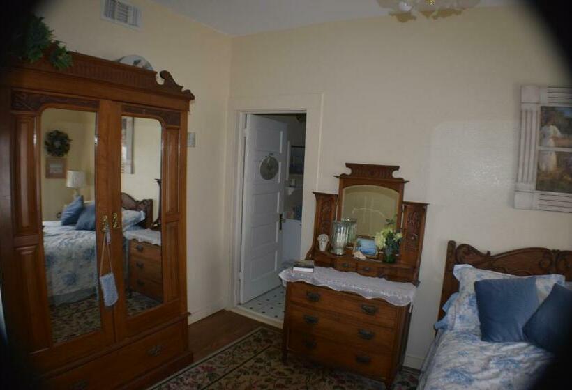 싱글 디럭스 룸, The Hotel Texan