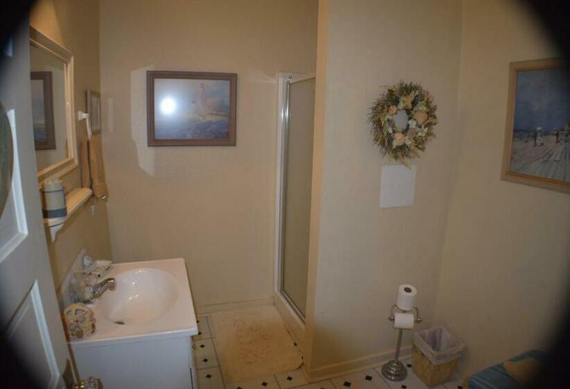 싱글 디럭스 룸, The Hotel Texan