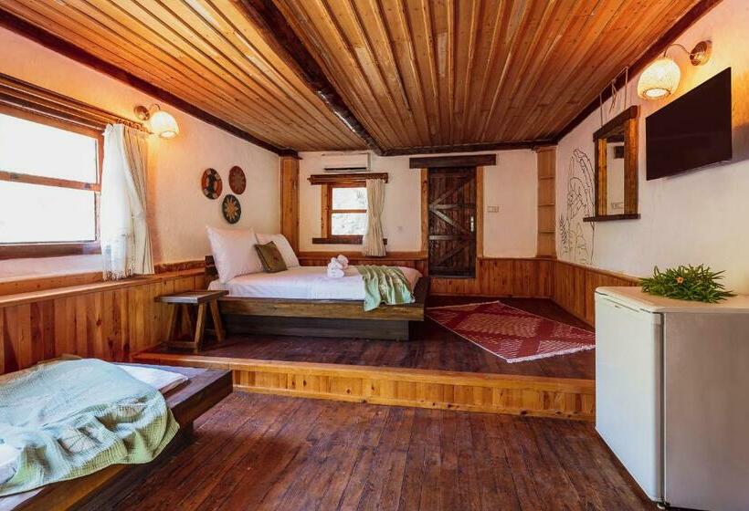 غرفة قياسية مزوَّدة بتراس, Lov Faralya Adults Only