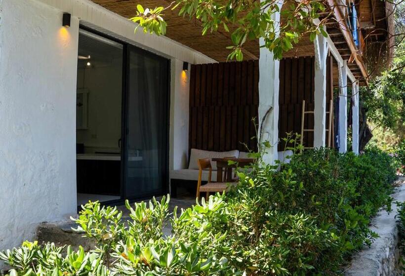 غرفة قياسية مزوَّدة بتراس, Lov Faralya Adults Only