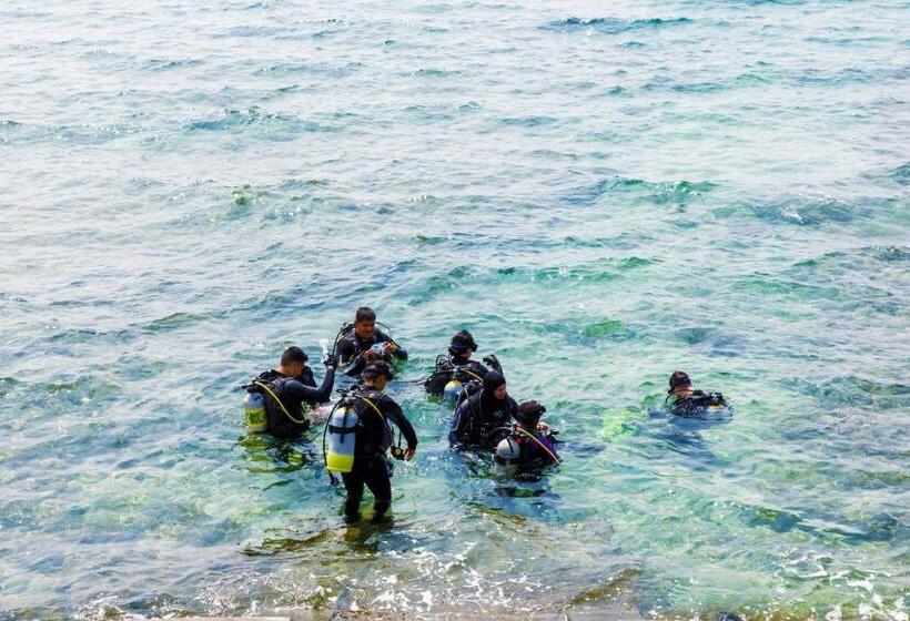 חדר סטנדרט לשלושה, Blue Steak Wonder Chatan