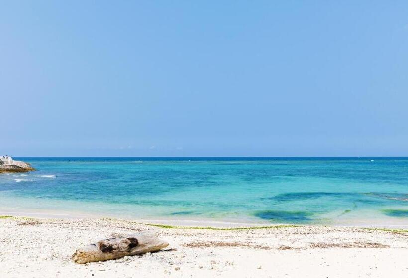 חדר סטנדרט לשלושה, Blue Steak Wonder Chatan