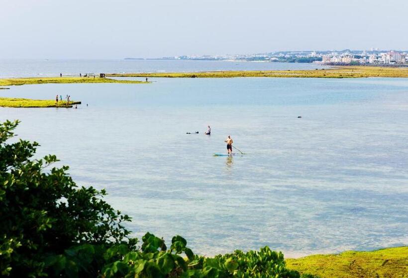 חדר סטנדרט, Blue Steak Wonder Chatan