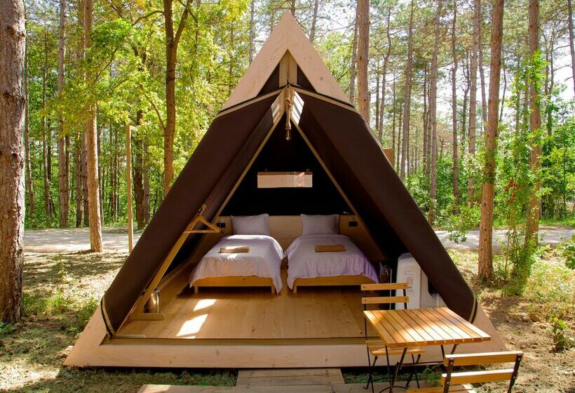 Standard Tent, Longosphere Glamping