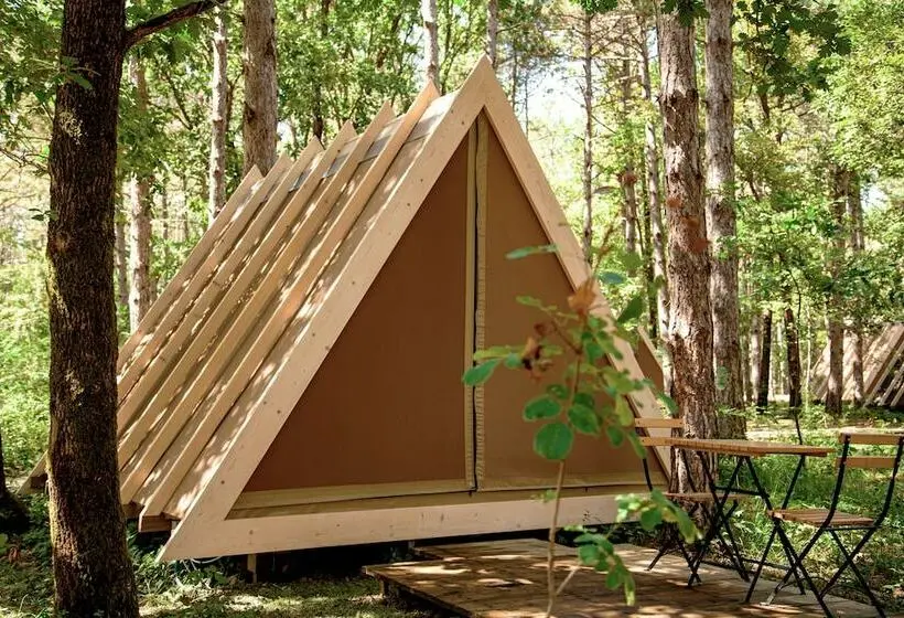 Standard Tent, Longosphere Glamping