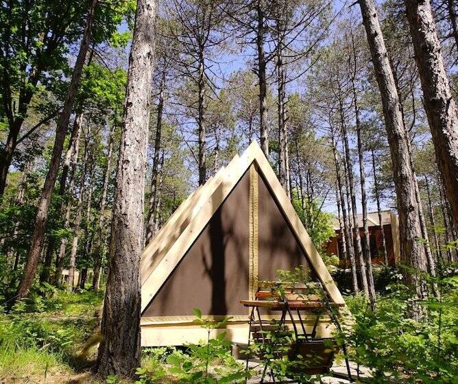 Standard Tent, Longosphere Glamping
