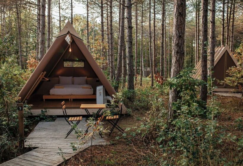 Standard Tent, Longosphere Glamping
