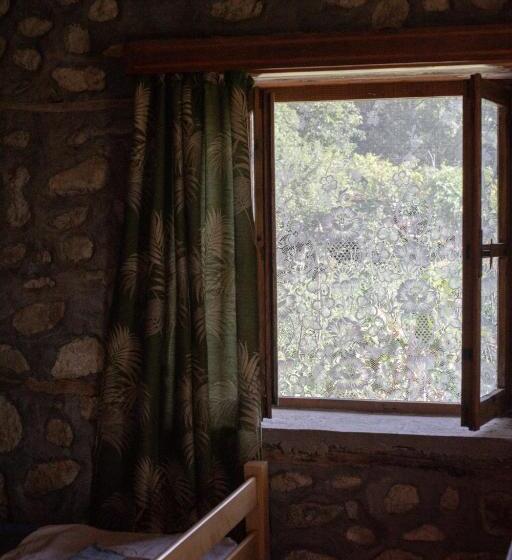 共用房间的床, The House In The Village