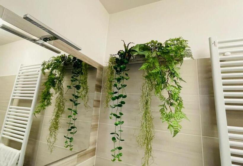 חדר סופריור, Ca  Ross