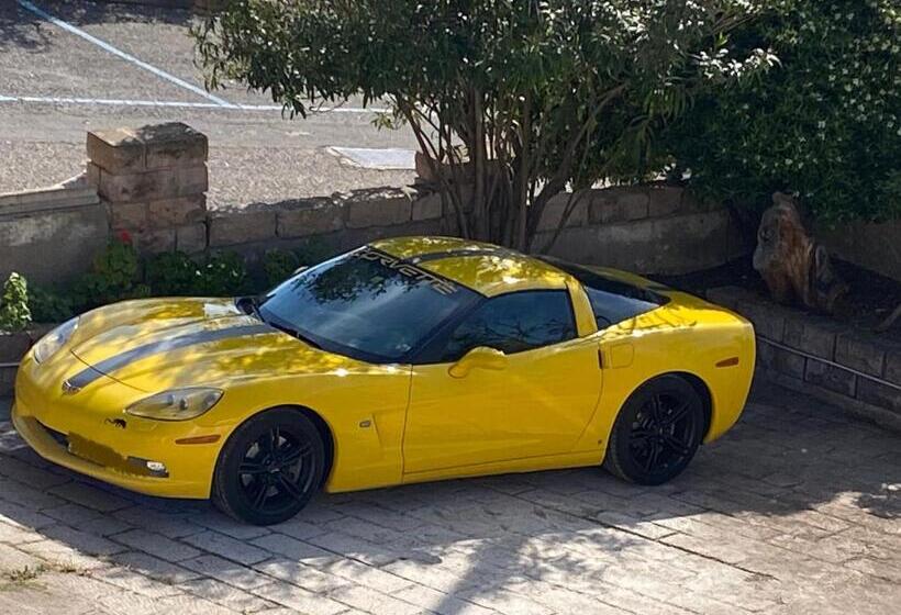 חדר סטנדרט יחיד, Alabe