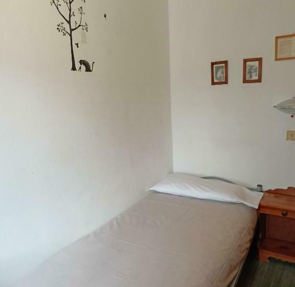 Номер Стандарт Индивидуальный, Daniela