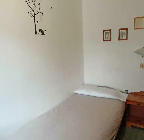 Quarto standart individual, Daniela
