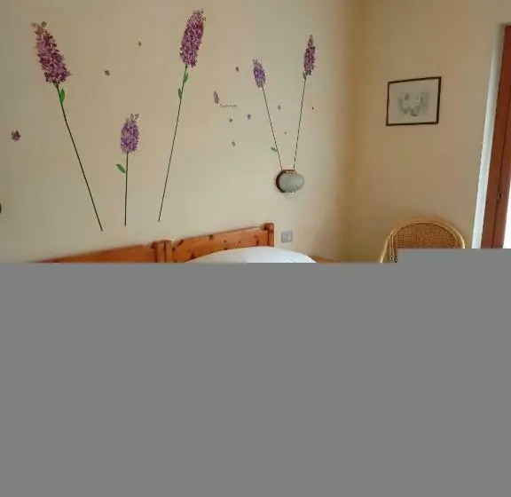 Quarto standard, Daniela