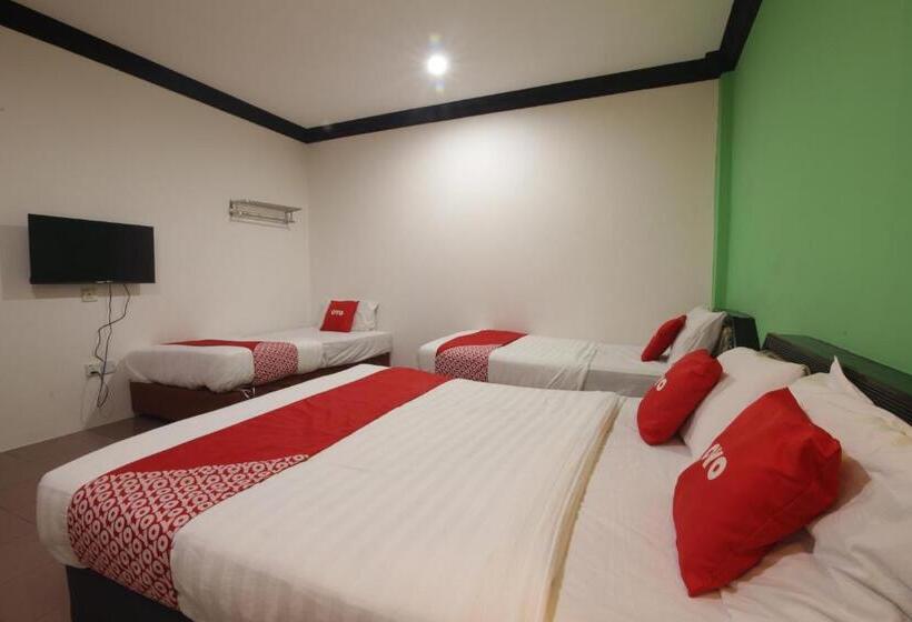 패밀리 룸, G City