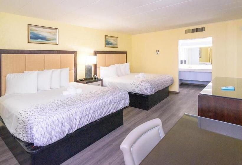 经典四人房间, Heart Of Manteo