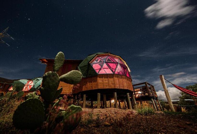 Номер Стандарт, Los Nopales Glamping