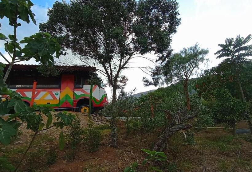 בית, 4 חדרי שינה, Los Nopales Glamping