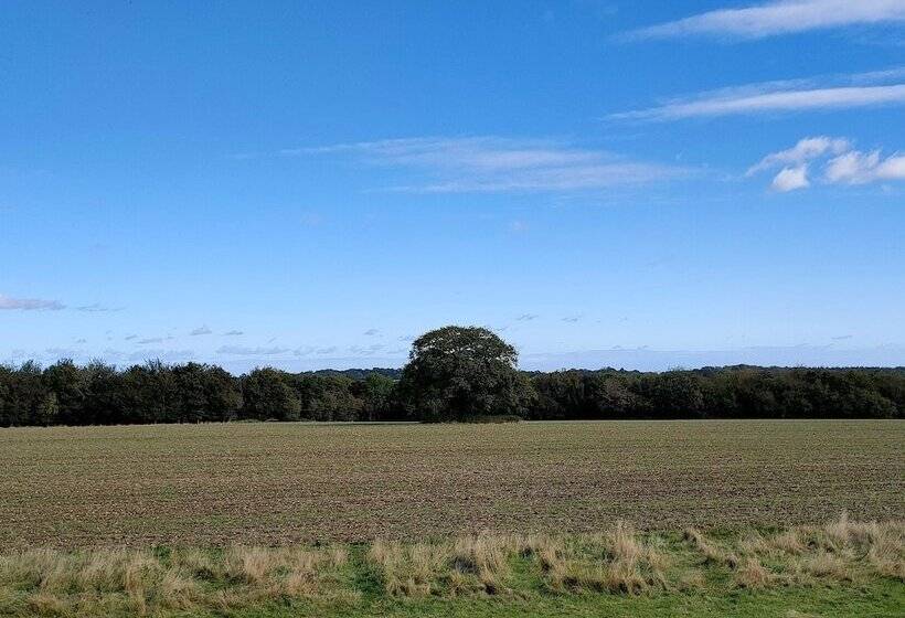 スタンダードルーム, The Chilterns Fox