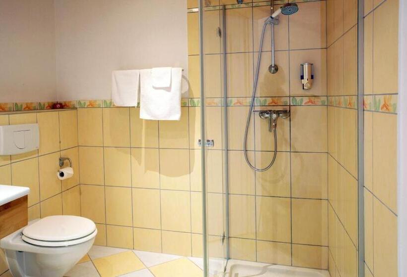 חדר דלוקס עם מרפסת טרסה, B&b Siglistorf