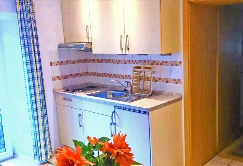 Апартаменты 1 Спальня, Gästehaus Koyerbauer Boardinghouse