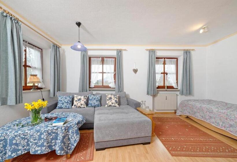 Апартаменты 1 Спальня с Видом, Gästehaus Koyerbauer Boardinghouse