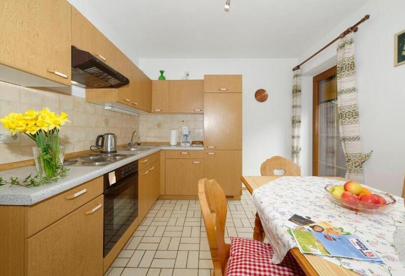 Апартаменты 1 Спальня с Видом, Gästehaus Koyerbauer Boardinghouse