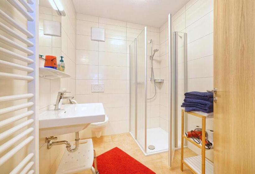 Апартаменты 1 Спальня с Видом, Gästehaus Koyerbauer Boardinghouse