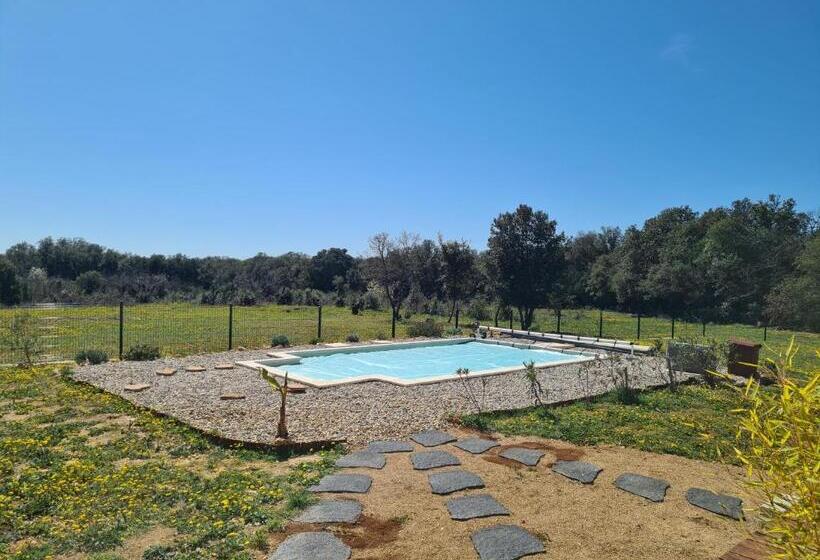 스탠다드 룸, Le Petit Chêne