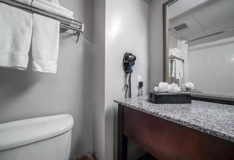 キングサイズベッドのスタンダードルーム, Country Inn & Suites By Radisson, Ontario At Ontario Mills, Ca
