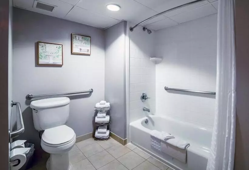 身障者適用キングサイズベッドルーム, Country Inn & Suites By Radisson, Ontario At Ontario Mills, Ca