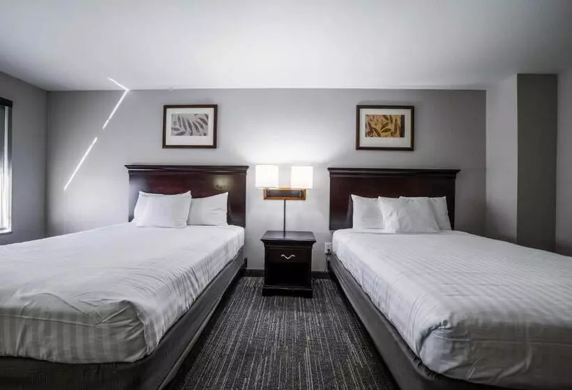 身障者適用スタンダードルーム, Country Inn & Suites By Radisson, Ontario At Ontario Mills, Ca