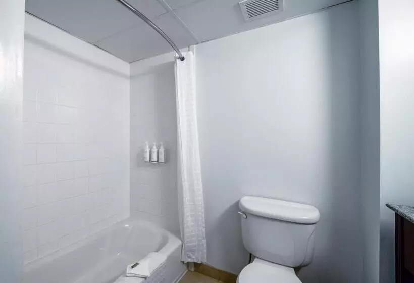 キングサイドベッドのスタンダードワンルーム, Country Inn & Suites By Radisson, Ontario At Ontario Mills, Ca