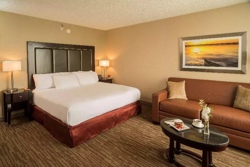 キングサイズベッドのスタンダードルーム, Doubletree Raleigh Durham Airport At Research Triangle Park