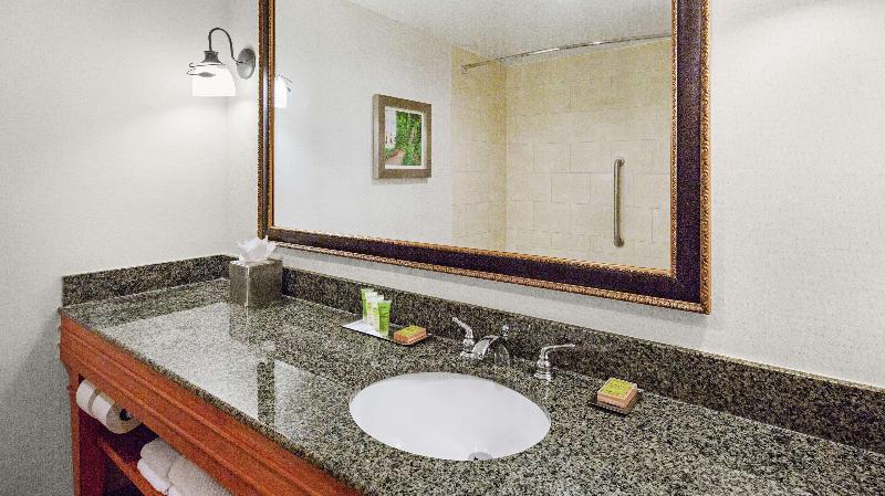 스탠다드 룸 킹사이즈 침대, Doubletree Raleigh Durham Airport At Research Triangle Park