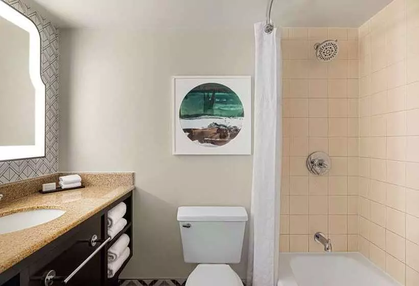キングサイズベッドのスタンダードルーム, Embassy Suites By Hilton Nashville Se Murfreesboro